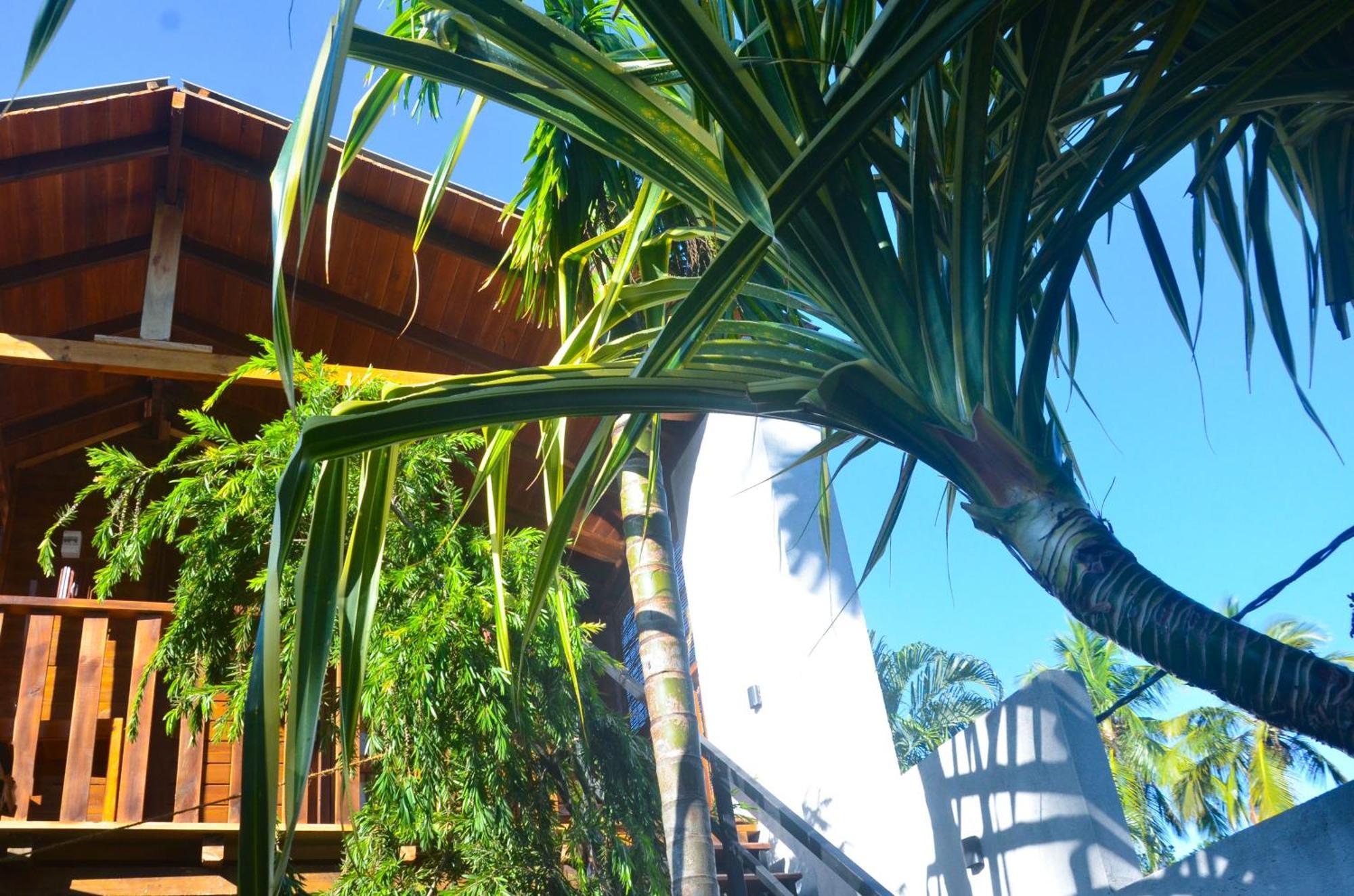 Triangle Home Stay Dambulla Exteriör bild
